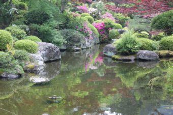 風水 池|金運アップには池をつくるか池が無理なら水槽を活用。